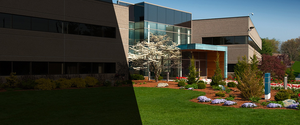 Whitakers Landscapers