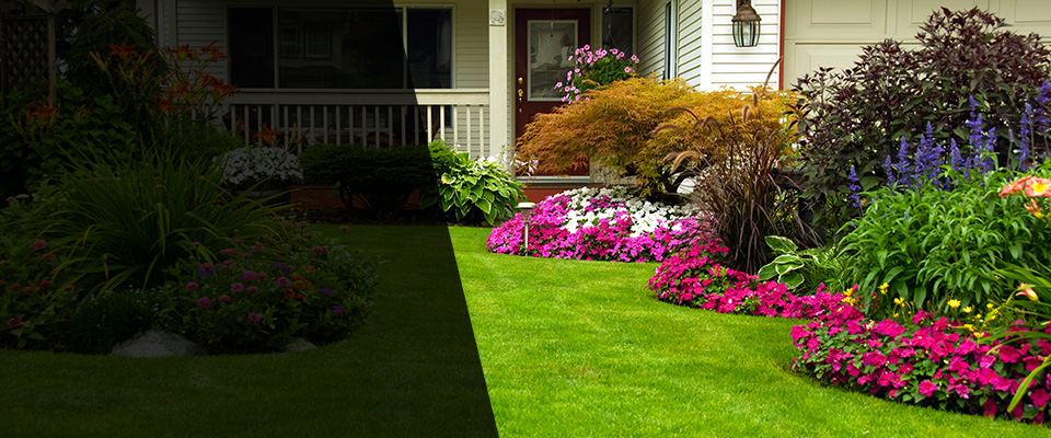Whitakers Landscapers