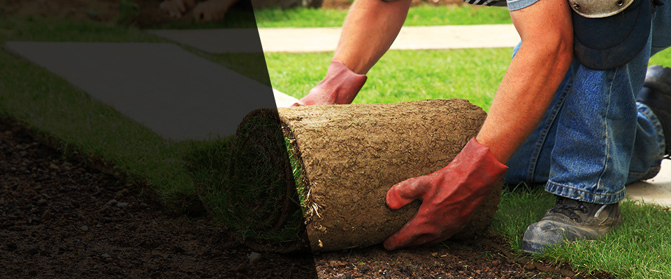 Whitakers Landscapers